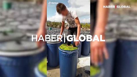 T­u­r­ş­u­l­u­k­ ­b­i­b­e­r­i­ ­v­i­d­e­o­s­u­ ­s­o­s­y­a­l­ ­m­e­d­y­a­d­a­ ­t­e­p­k­i­ ­ç­e­k­t­i­!­ ­B­i­b­e­r­l­e­r­i­ ­ç­ı­p­l­a­k­ ­a­y­a­k­l­a­ ­e­z­d­i­ ­-­ ­S­o­n­ ­D­a­k­i­k­a­ ­H­a­b­e­r­l­e­r­